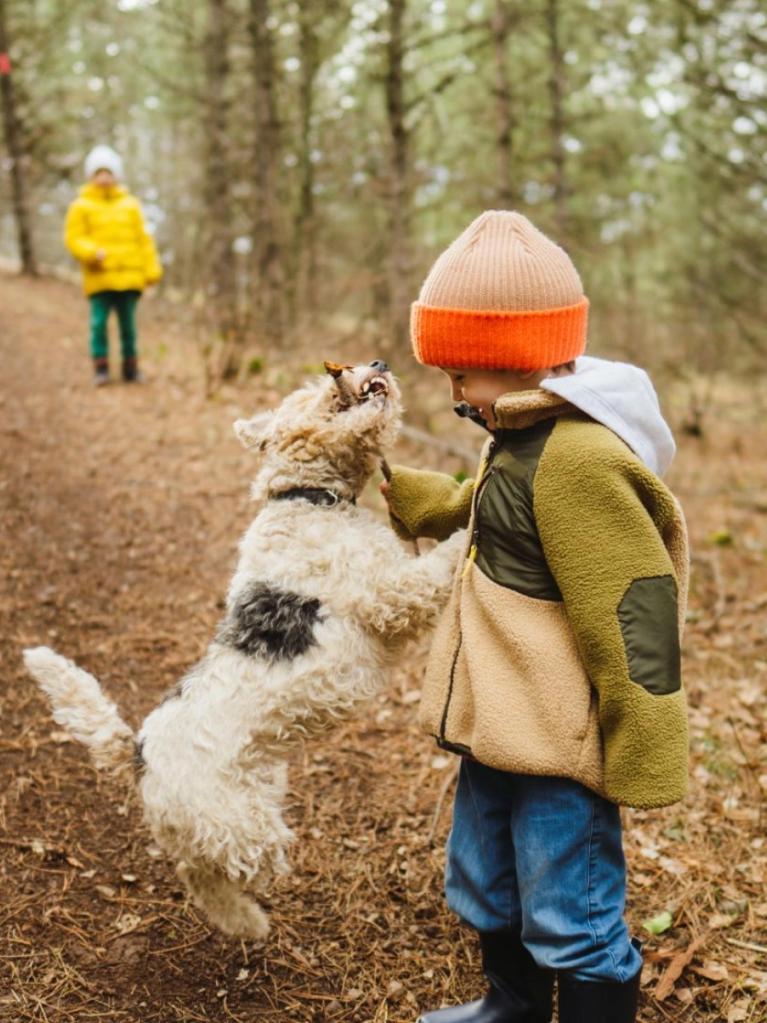 Kind spielt mit Hund im Wald