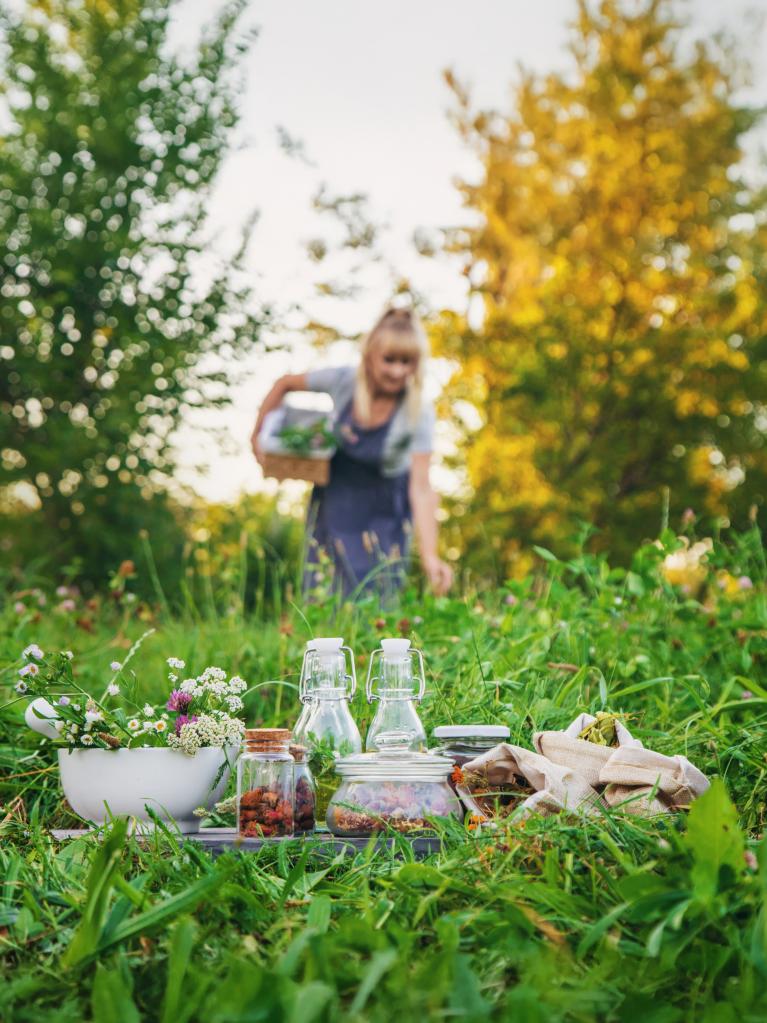 Les secrets des herbes suisses
