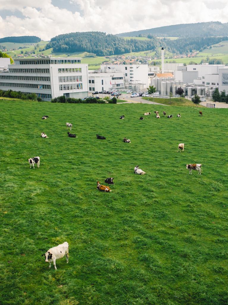 Nestlé Fabrik in Konolfingen 
