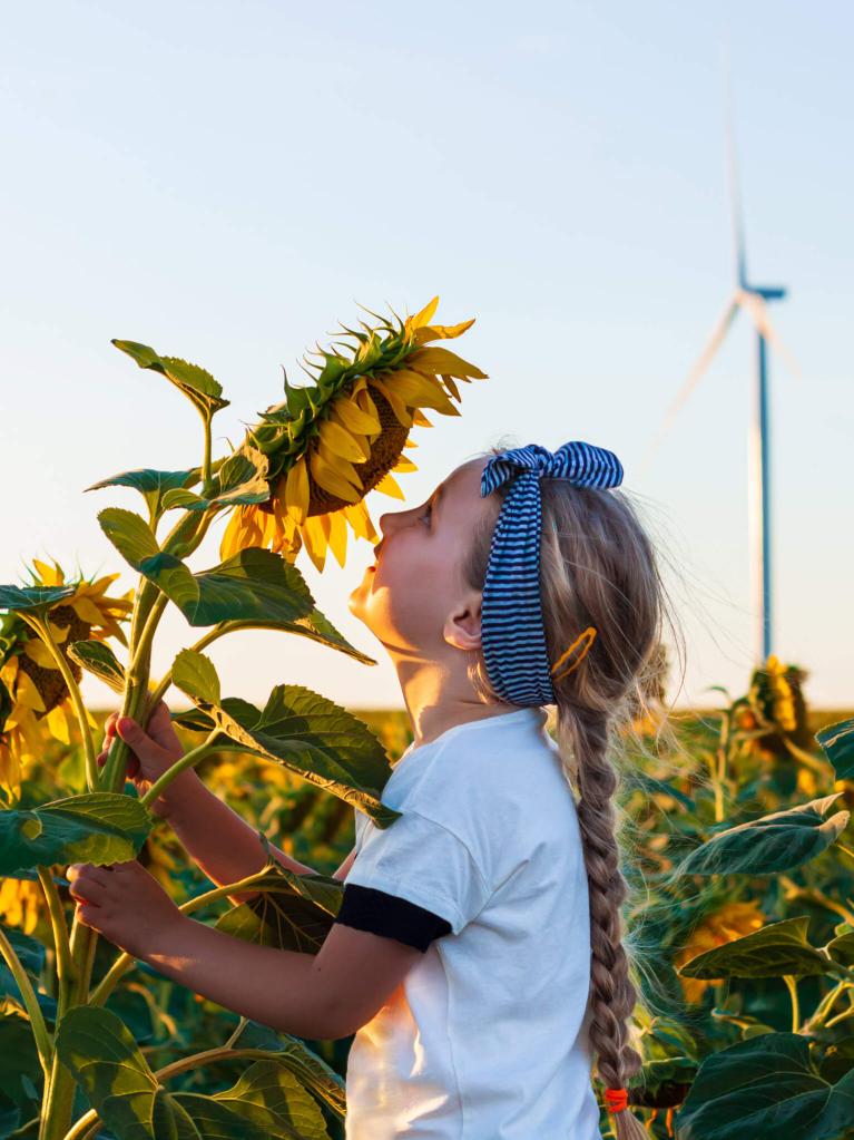 Fille mignonne dans le t-shirt blanc sentant le tournesol dans le champ sur le coucher du soleil.