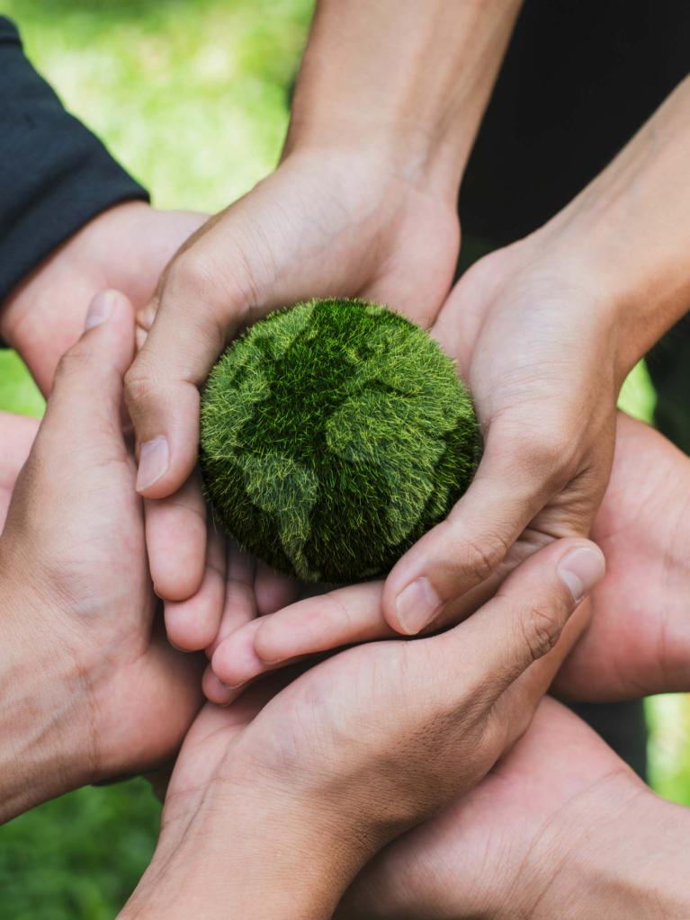 Buitoni - Unsere nachhaltige Entwicklung