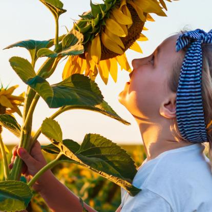 Card_01_desktop_header_V1.jpg Kind mit Sonnenblume