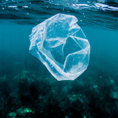 Header_1070x535_21.07.34 (1).jpg Plastik schwimmt im Wasser