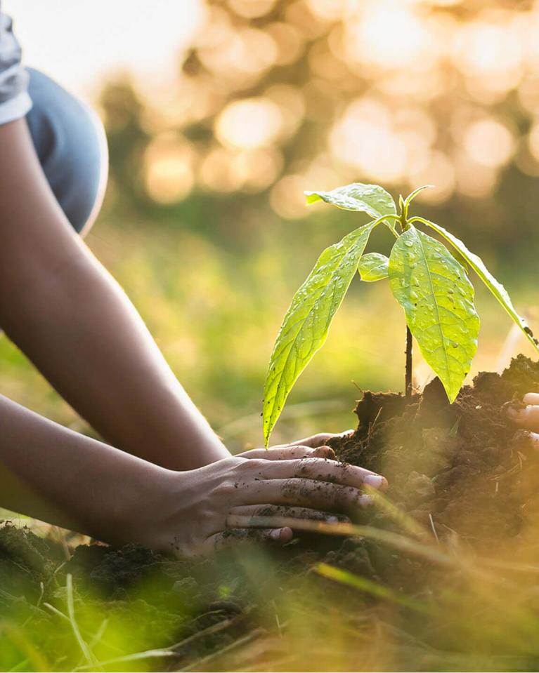 Eine Mutter hilft ihren Kindern, in der Natur Bäume zu pflanzen