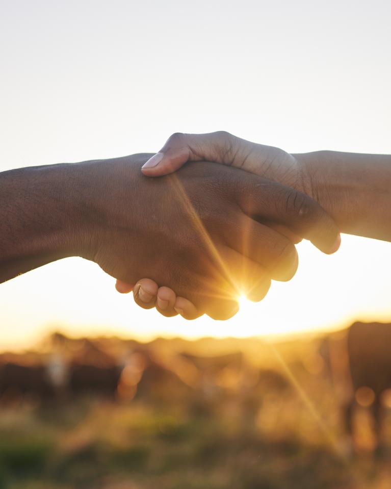 Ein Handschlag in einem Feld bei Sonnenuntergang.
