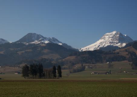 Grüne Wiese mit Bergen und blauer Himmel