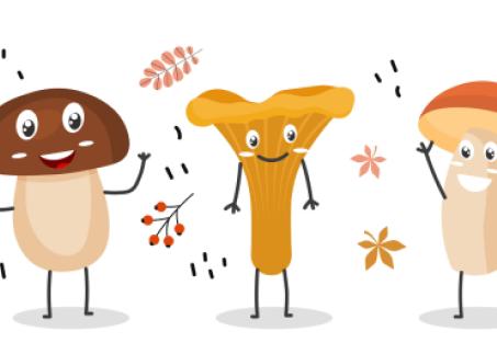 quelques-champignons-animes