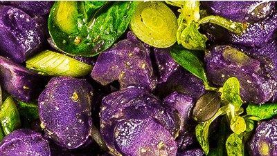 Grün & Blau – das schmeckt wow!