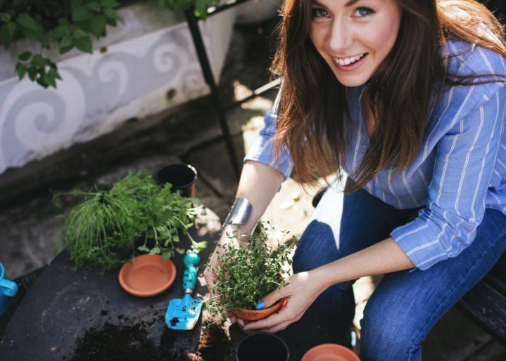 Frau pflanzt zu Hause an