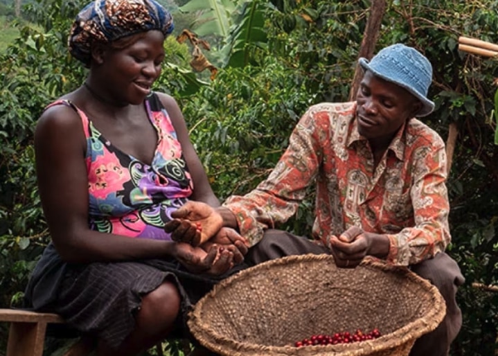 Kaffeefarmer:innen in Uganda