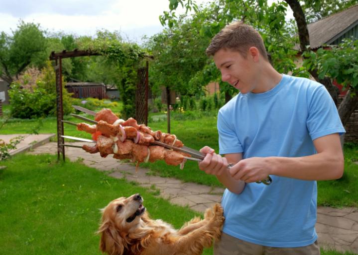 Pfoten weg von diesen Lebensmitteln