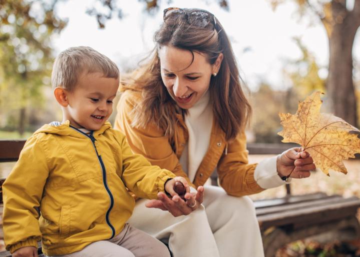 Weihnachtsdeko im Wald