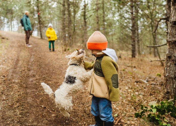 Hund und Junge spielen im Wald