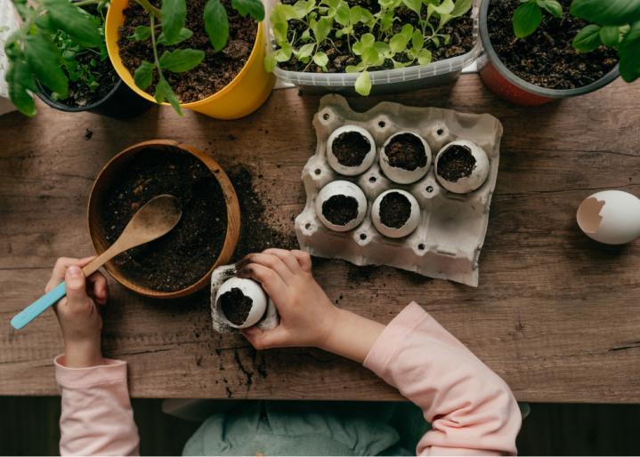 Ein-Kind-pflanzt-Samen-in-eine-Eierschale
